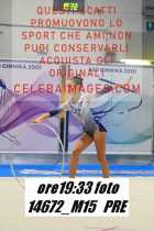 14672_M15-PRE
