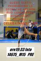 14675_M15-PRE
