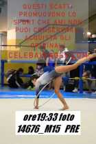 14676_M15-PRE
