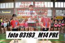 03193_M14-PRE