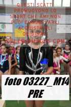 03227_M14-PRE