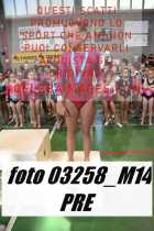 03258_M14-PRE