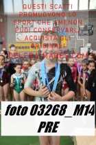03268_M14-PRE