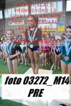03272_M14-PRE