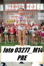 03277_M14-PRE
