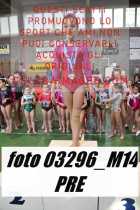03296_M14-PRE