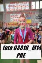 03318_M14-PRE