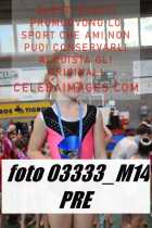 03333_M14-PRE