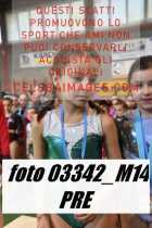 03342_M14-PRE
