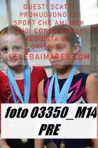 03350_M14-PRE
