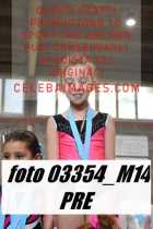 03354_M14-PRE