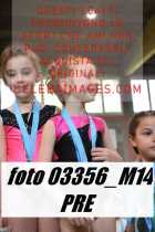 03356_M14-PRE