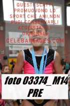 03374_M14-PRE
