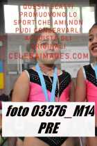 03376_M14-PRE