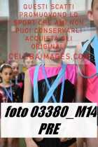 03380_M14-PRE