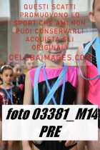 03381_M14-PRE