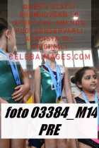 03384_M14-PRE