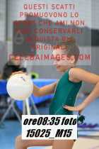 15025_M15-