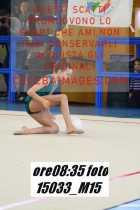 15033_M15-