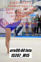 15207_M15-