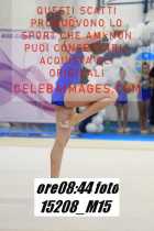 15208_M15-