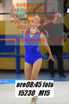 15230_M15-