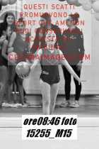 15255_M15-