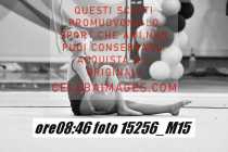 15256_M15-