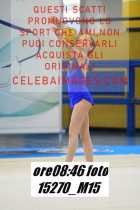 15270_M15-