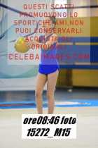 15272_M15-