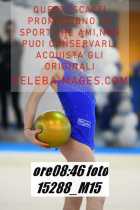 15288_M15-