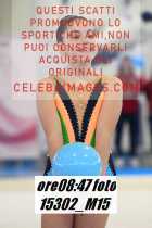 15302_M15-