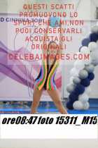 15311_M15-