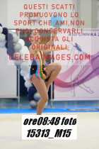 15313_M15-