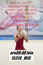 15319_M15-