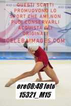 15321_M15-