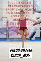 15329_M15-