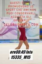 15335_M15-