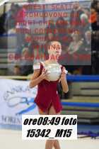 15342_M15-