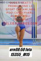 15355_M15-