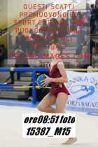 15387_M15-