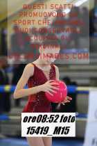 15419_M15-