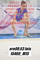 15460_M15-