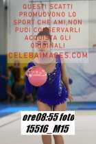 15516_M15-