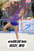 15531_M15-
