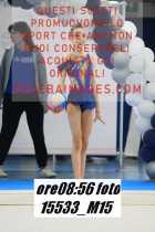 15533_M15-