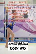 15587_M15-