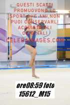 15612_M15-