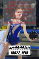 15627_M15-