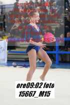 15667_M15-